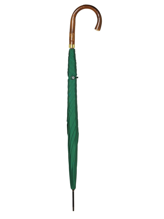 Umbrella Chestnut - Green