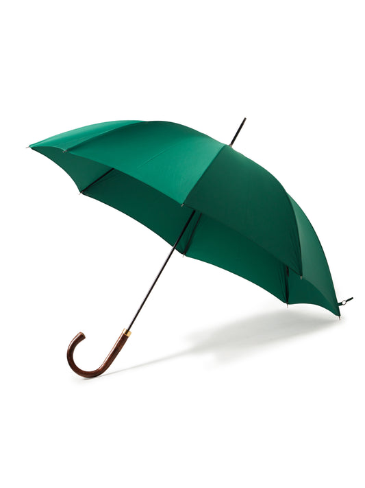 Umbrella Chestnut - Green