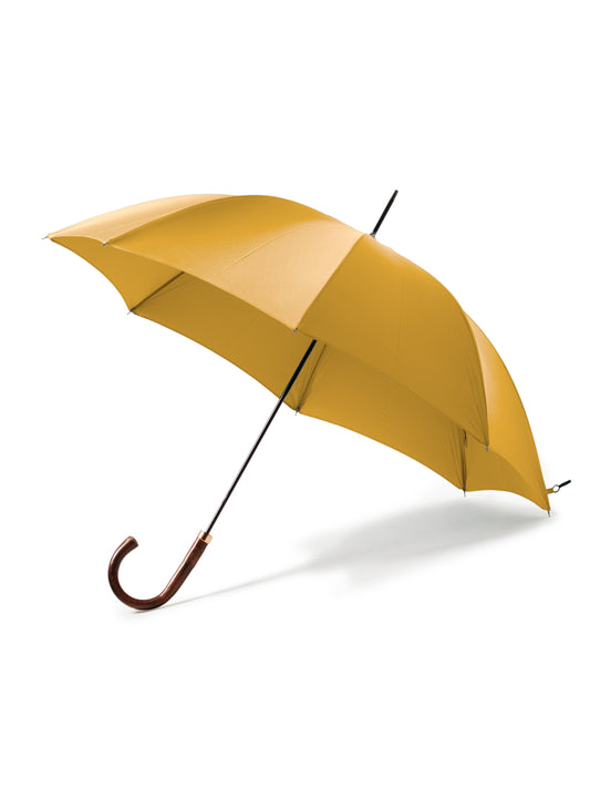 Umbrella Chestnut - Yellow